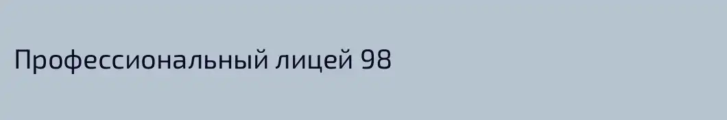 Профессиональный лицей 98